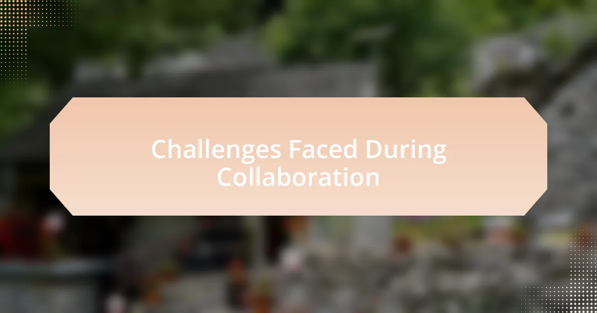 Challenges Faced During Collaboration