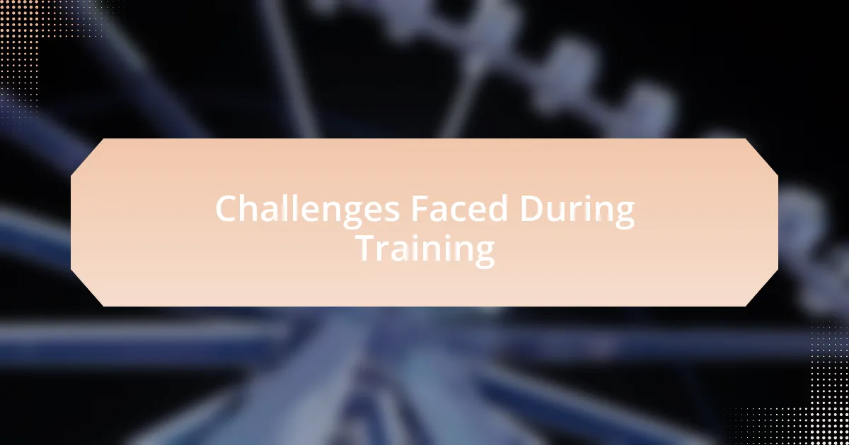 Challenges Faced During Training