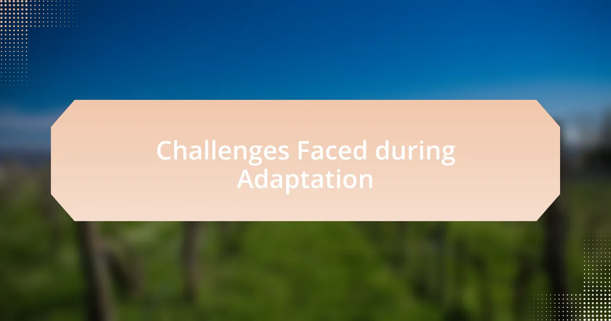 Challenges Faced during Adaptation