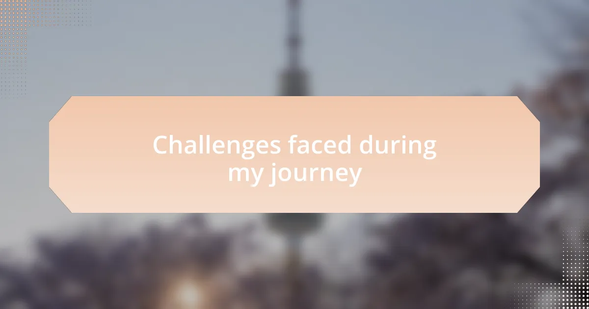 Challenges faced during my journey