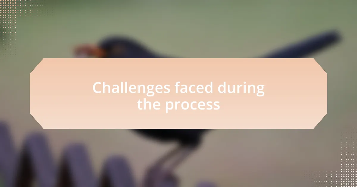 Challenges faced during the process