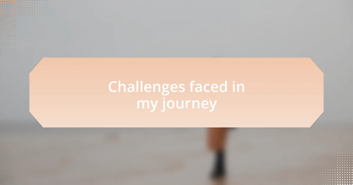 Challenges faced in my journey