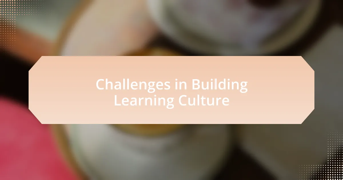 Challenges in Building Learning Culture