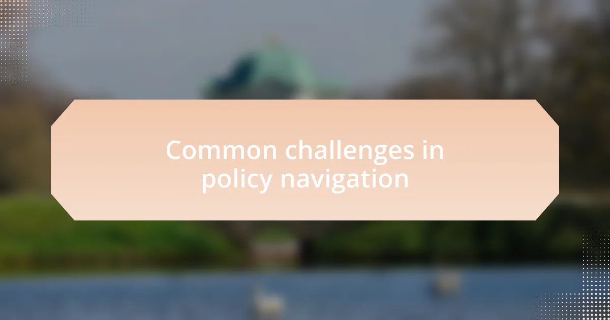 Common challenges in policy navigation