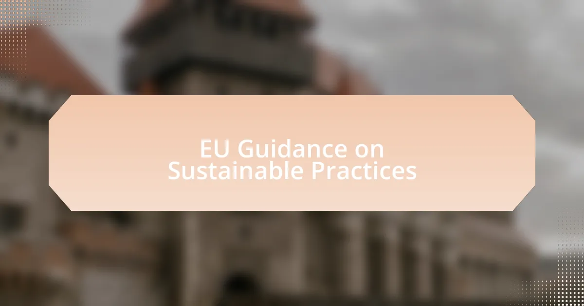 EU Guidance on Sustainable Practices