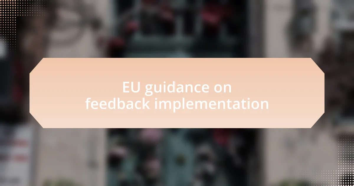 EU guidance on feedback implementation