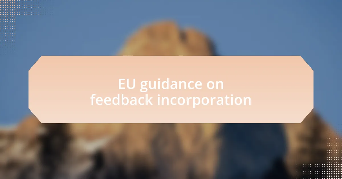 EU guidance on feedback incorporation