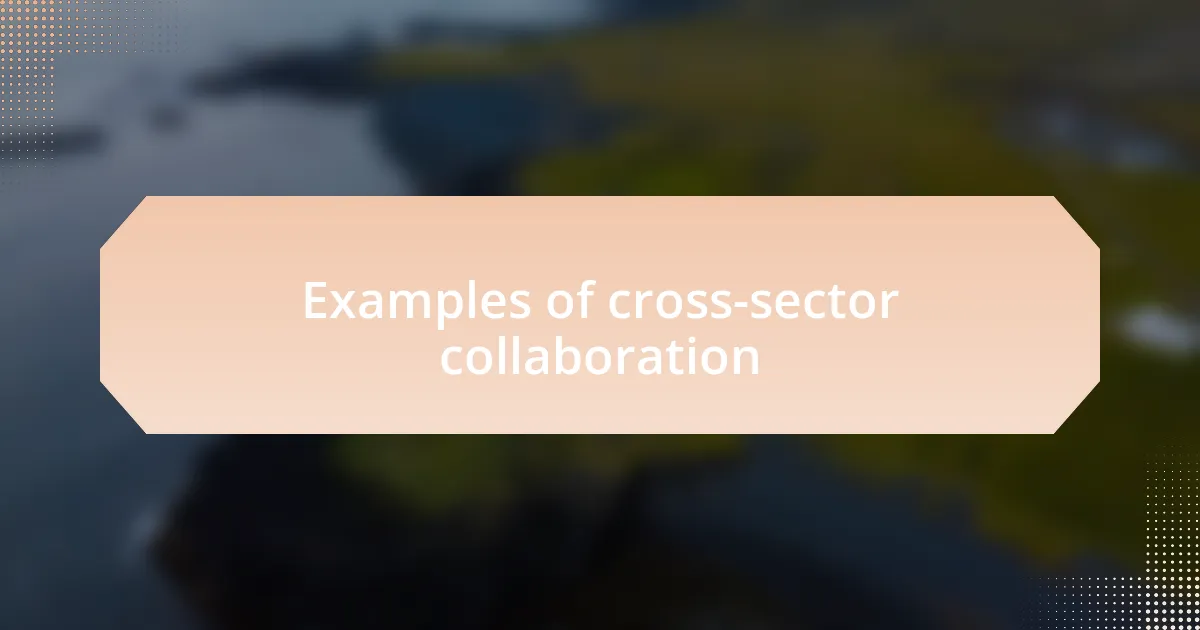 Examples of cross-sector collaboration