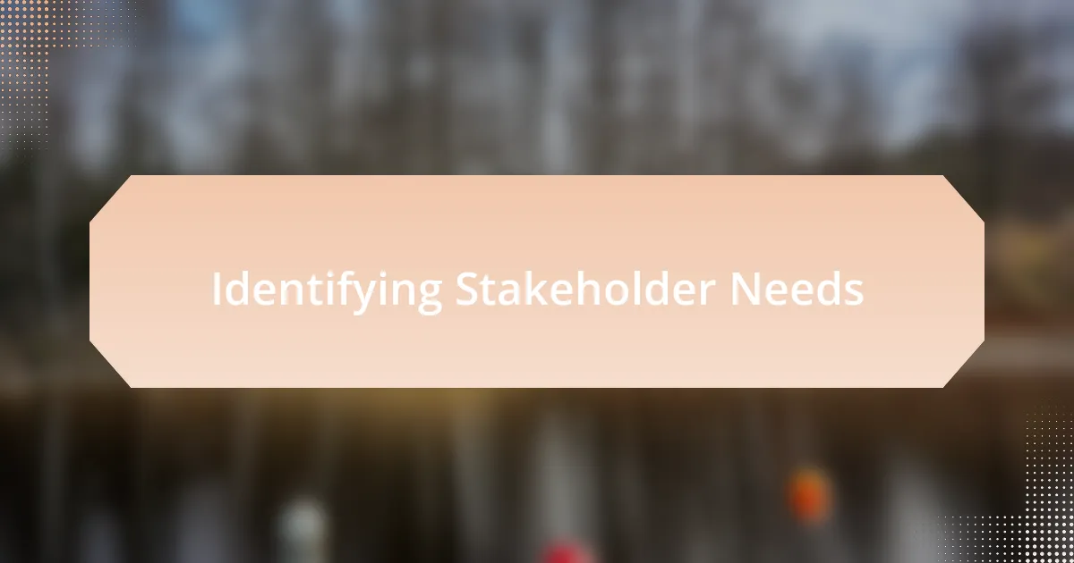 Identifying Stakeholder Needs