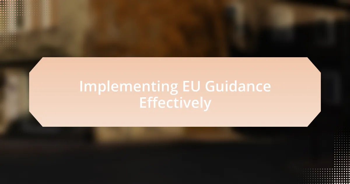 Implementing EU Guidance Effectively