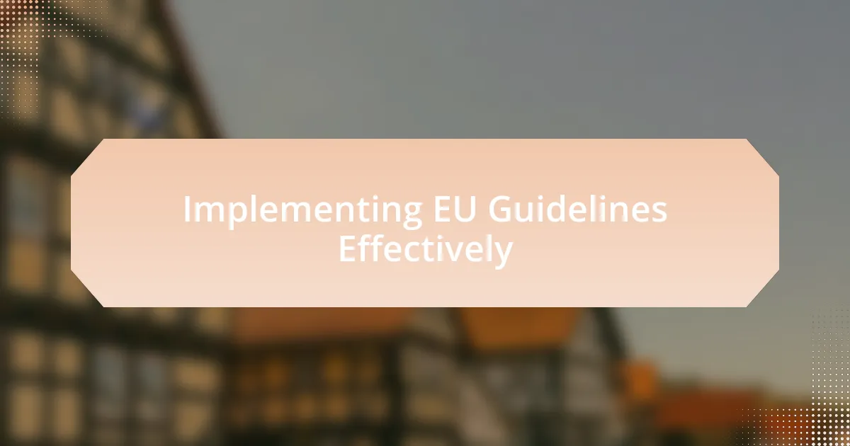 Implementing EU Guidelines Effectively