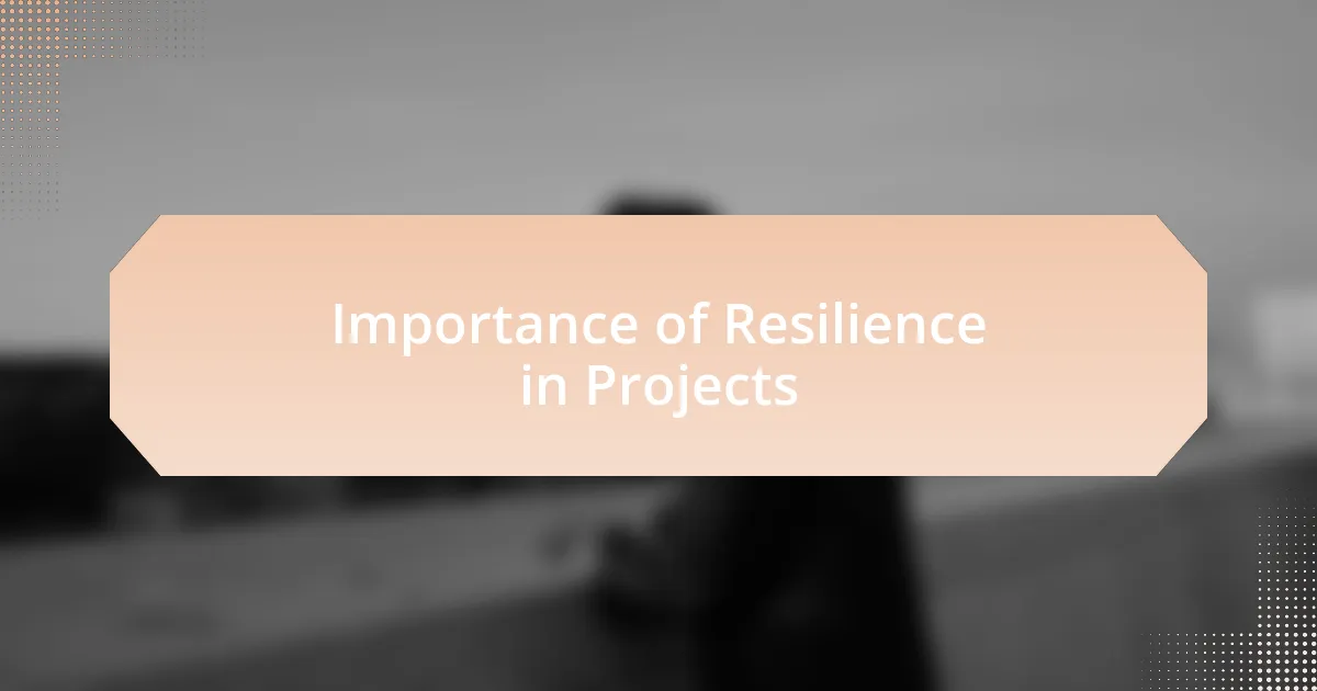 Importance of Resilience in Projects