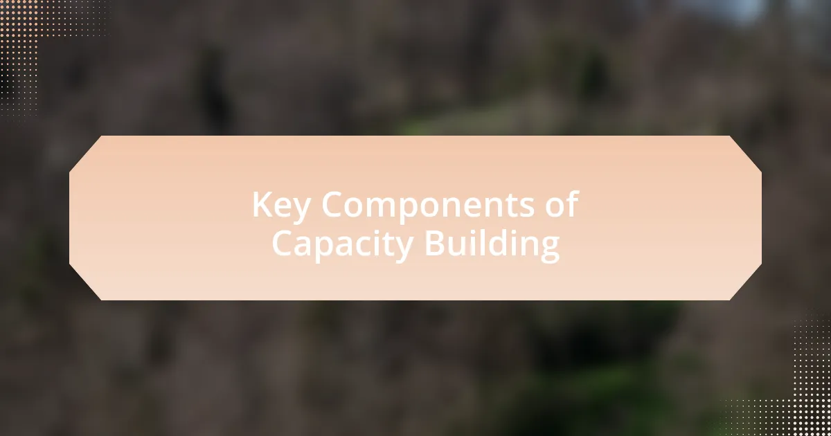 Key Components of Capacity Building