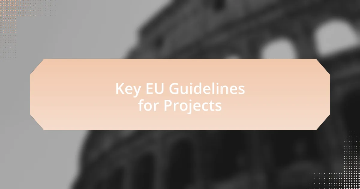 Key EU Guidelines for Projects