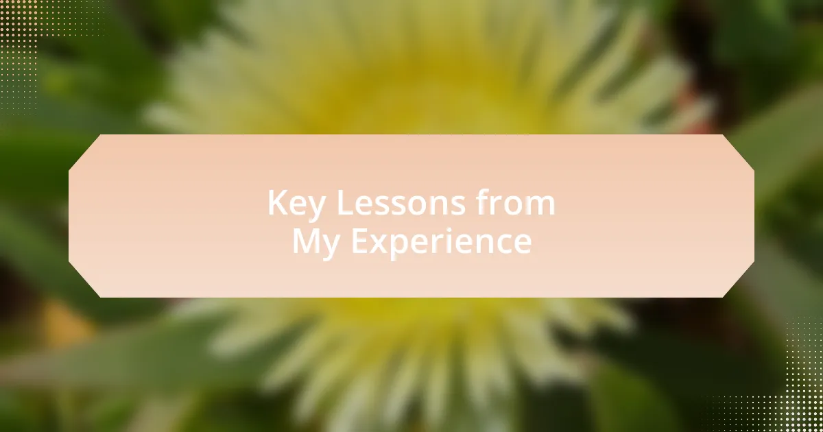 Key Lessons from My Experience