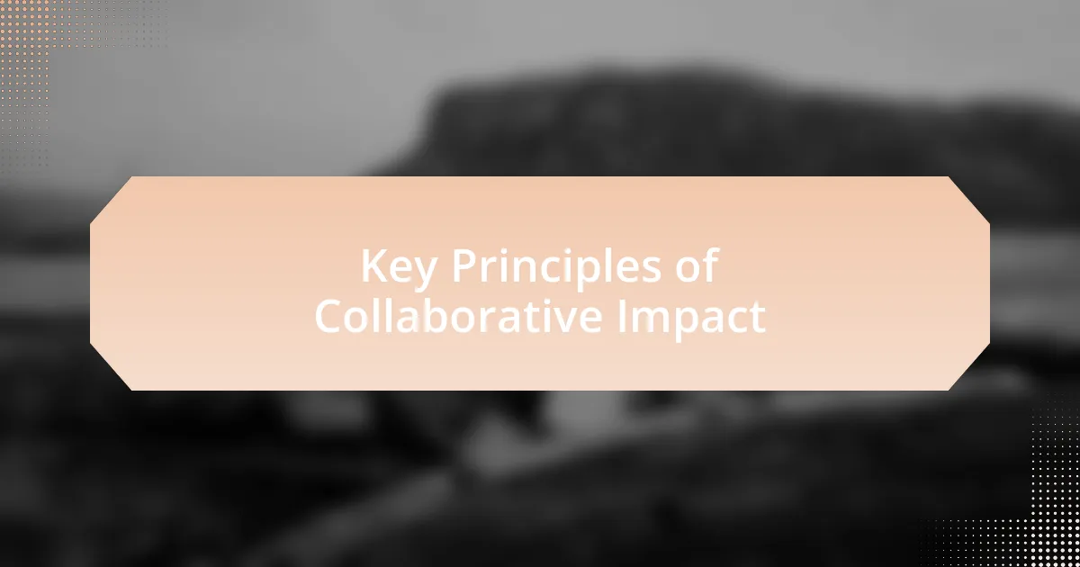 Key Principles of Collaborative Impact