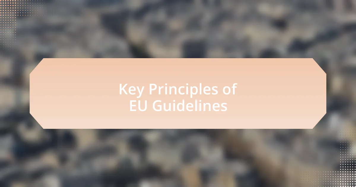 Key Principles of EU Guidelines