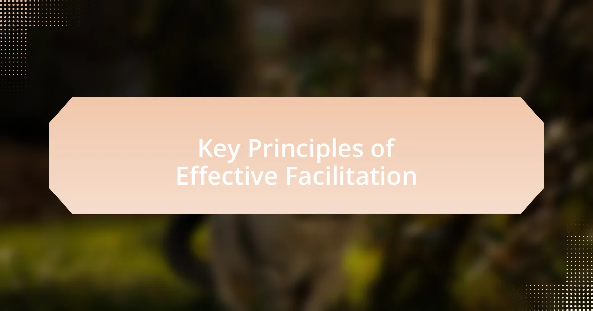 Key Principles of Effective Facilitation