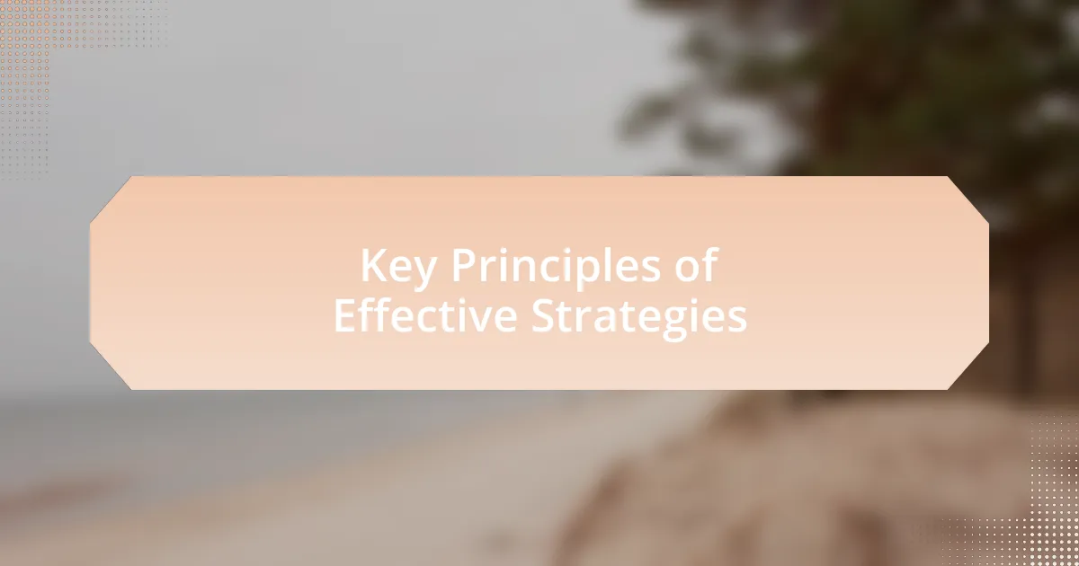 Key Principles of Effective Strategies
