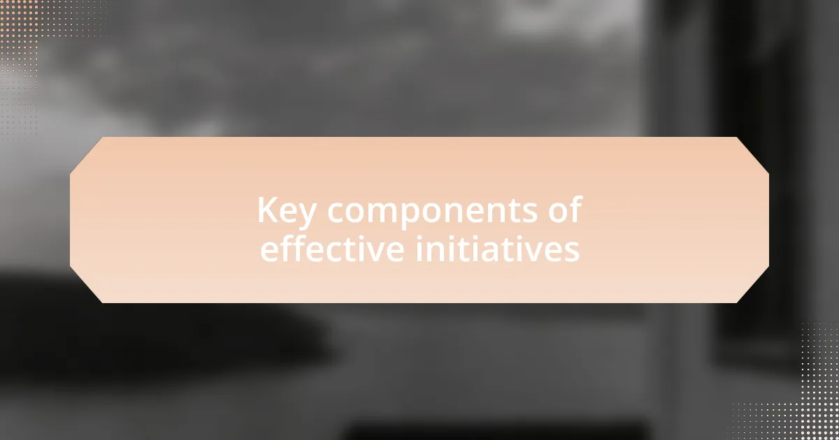 Key components of effective initiatives