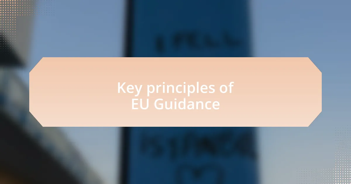 Key principles of EU Guidance