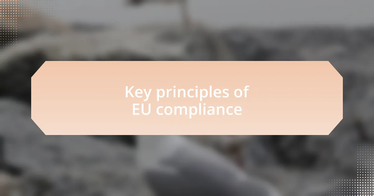 Key principles of EU compliance