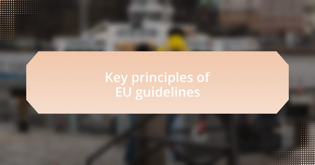 Key principles of EU guidelines