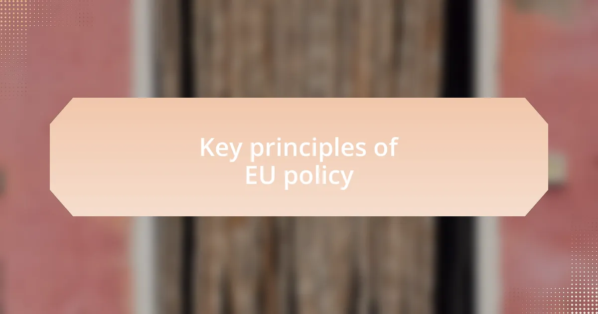 Key principles of EU policy