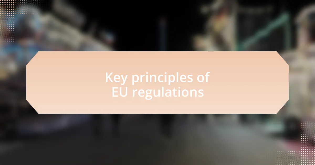 Key principles of EU regulations