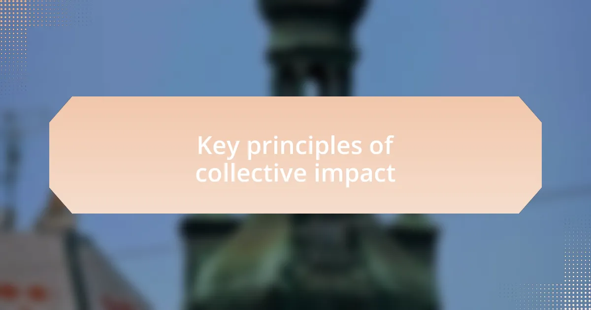 Key principles of collective impact