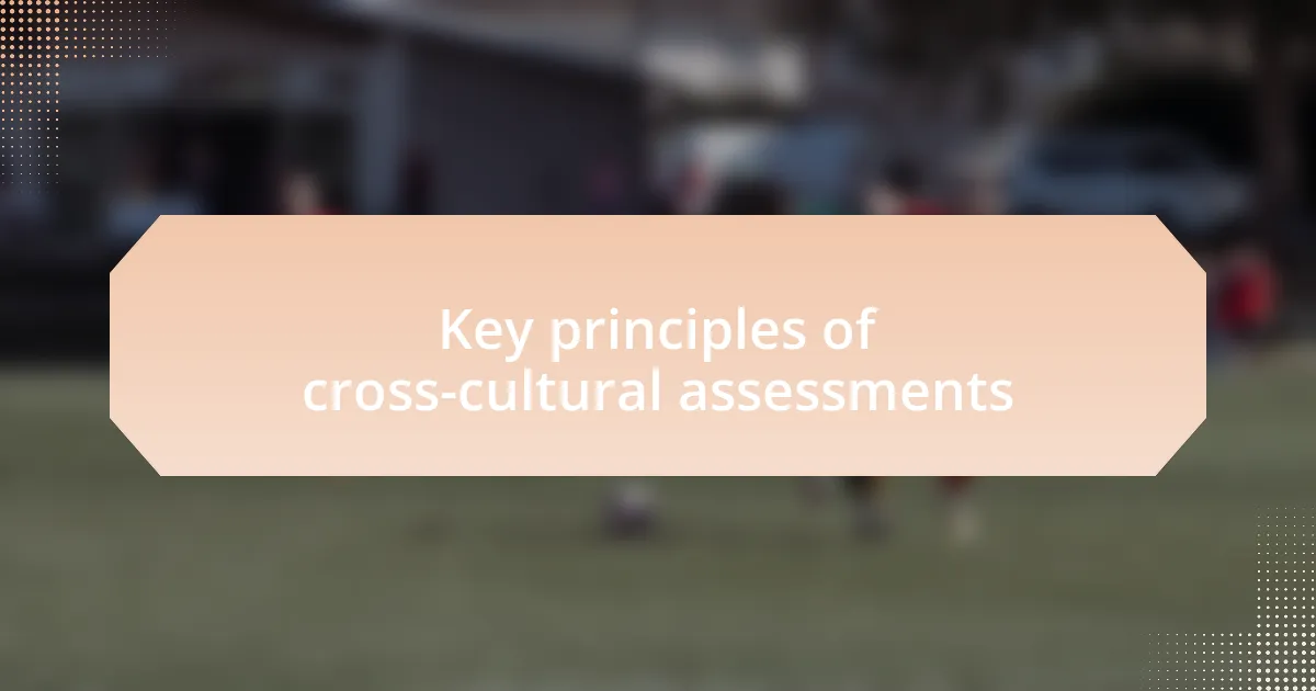 Key principles of cross-cultural assessments