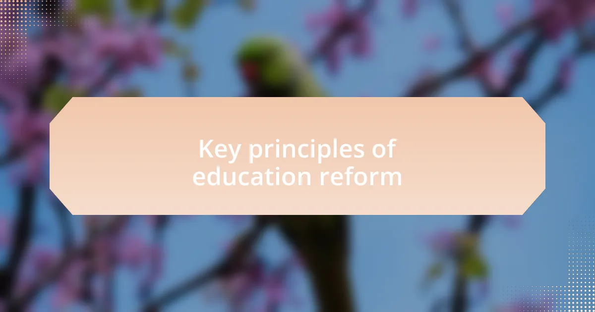 Key principles of education reform