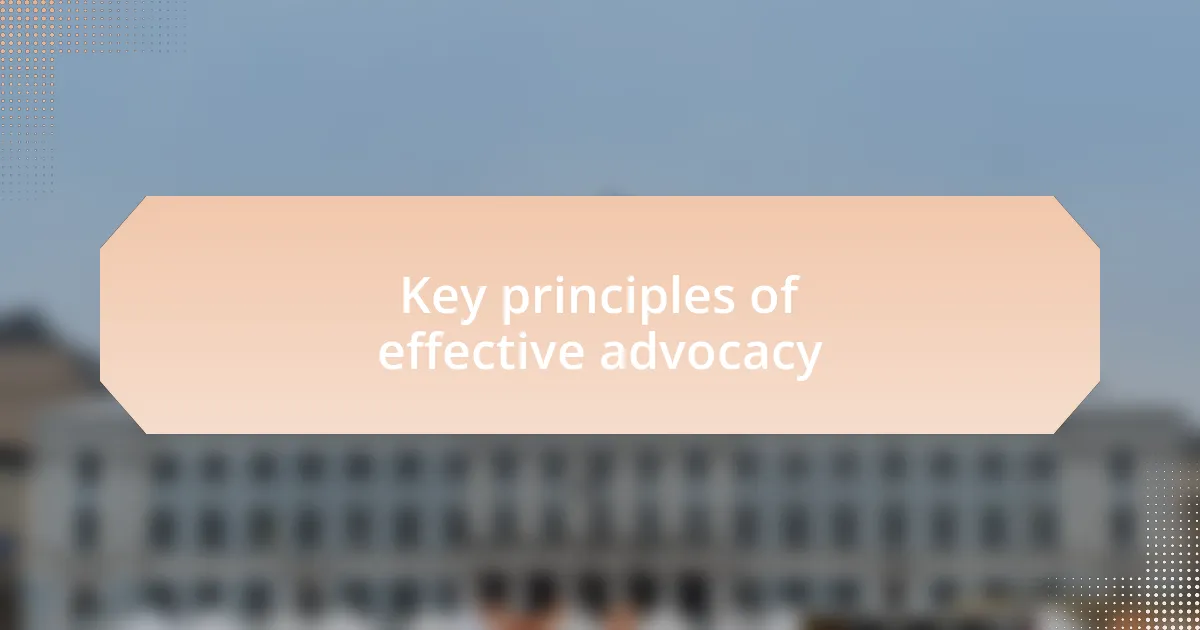 Key principles of effective advocacy