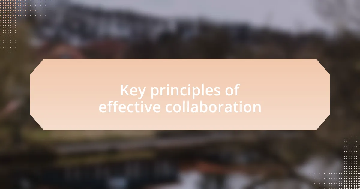 Key principles of effective collaboration