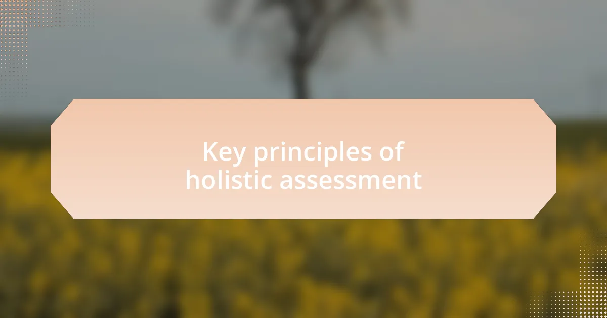 Key principles of holistic assessment