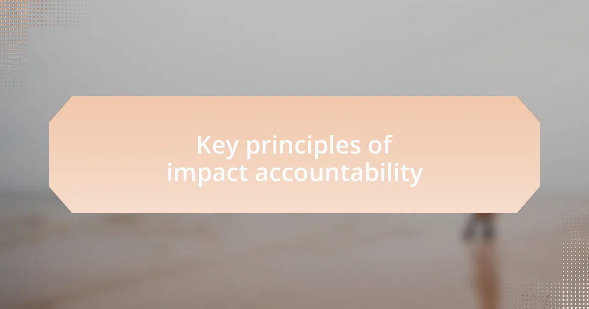 Key principles of impact accountability