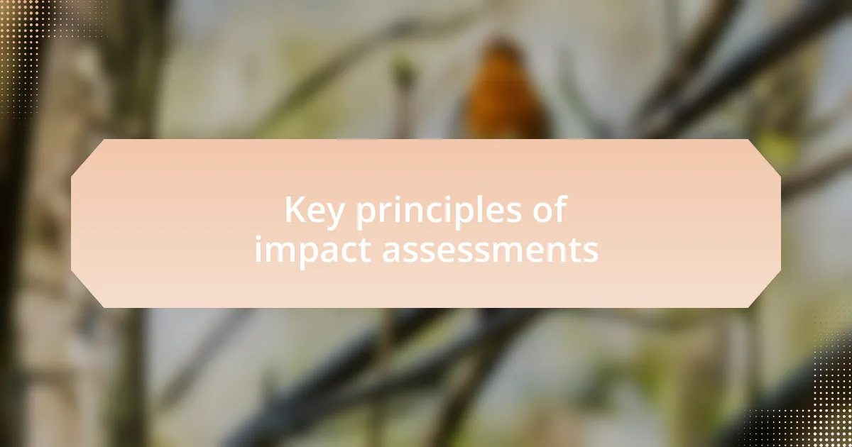 Key principles of impact assessments