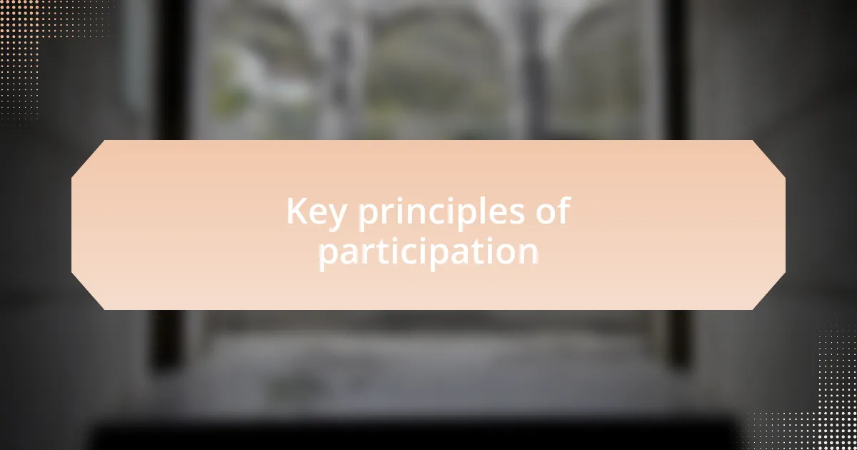 Key principles of participation