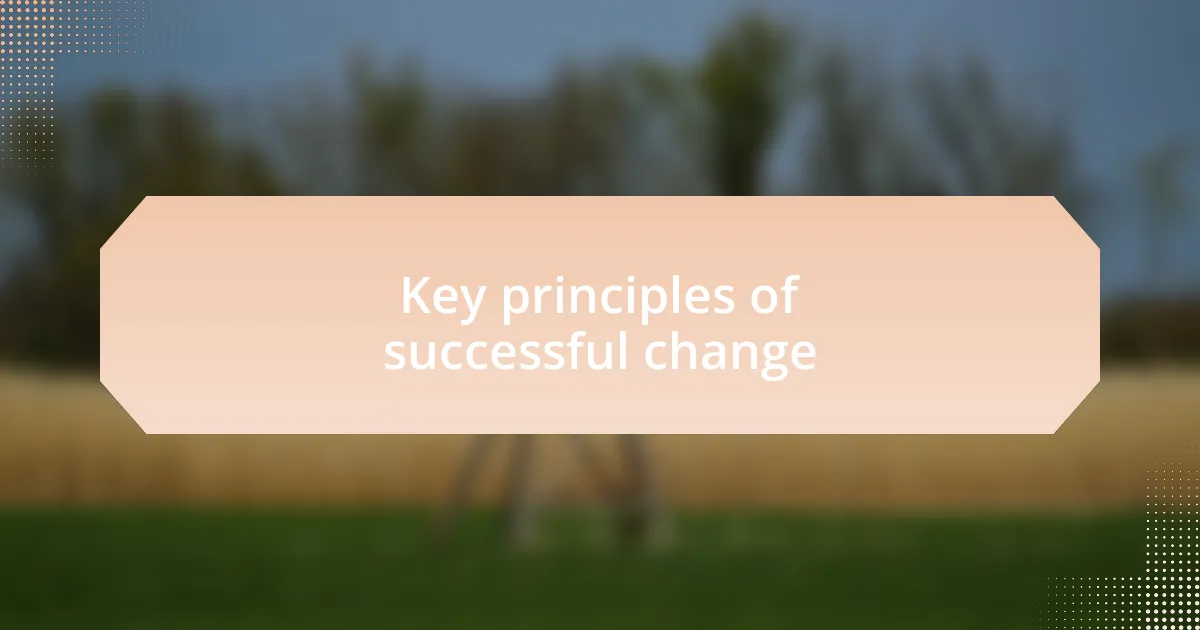 Key principles of successful change