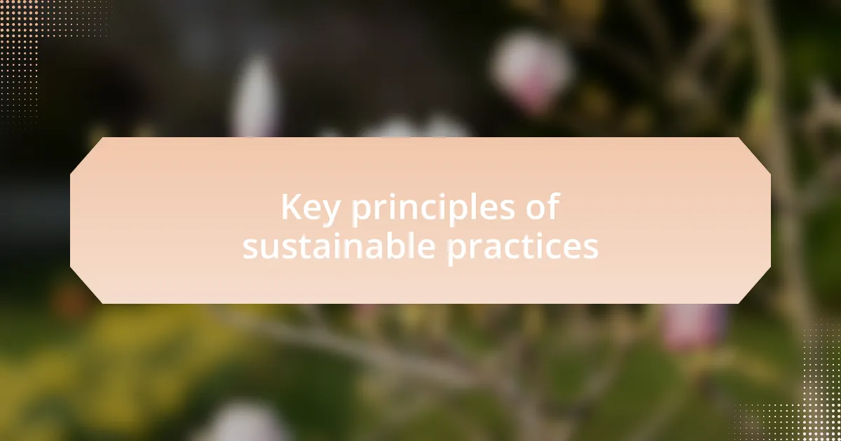 Key principles of sustainable practices