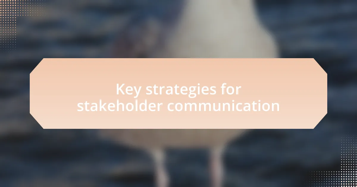 Key strategies for stakeholder communication