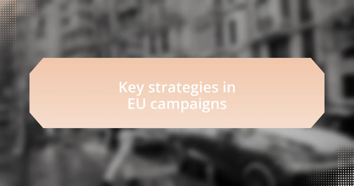 Key strategies in EU campaigns