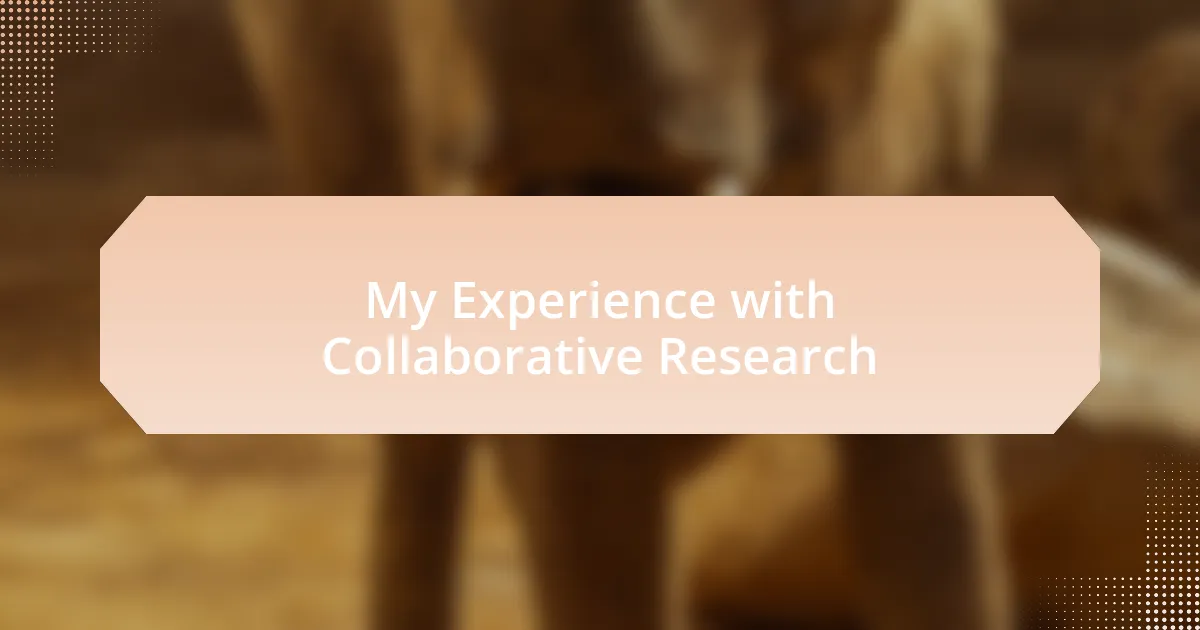 My Experience with Collaborative Research