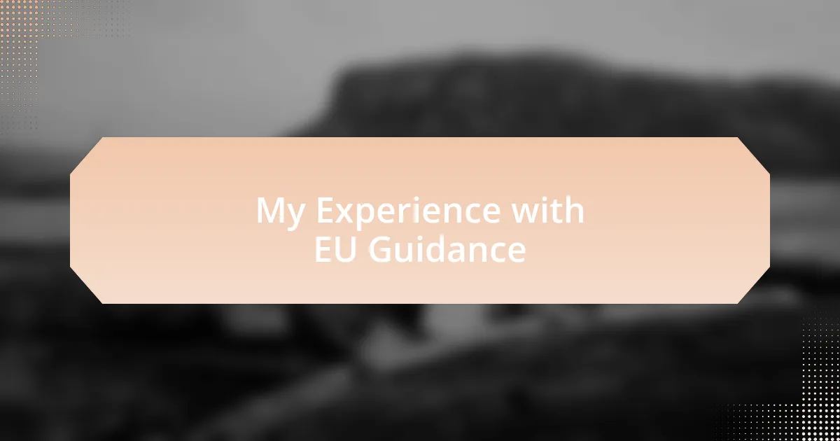 My Experience with EU Guidance