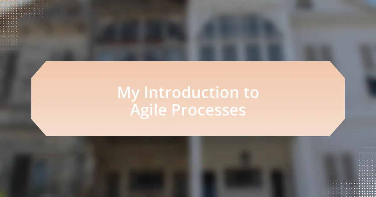 My Introduction to Agile Processes