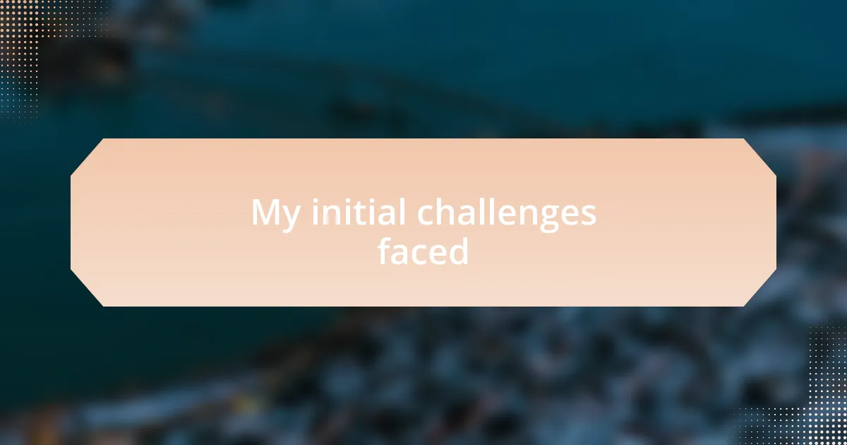 My initial challenges faced