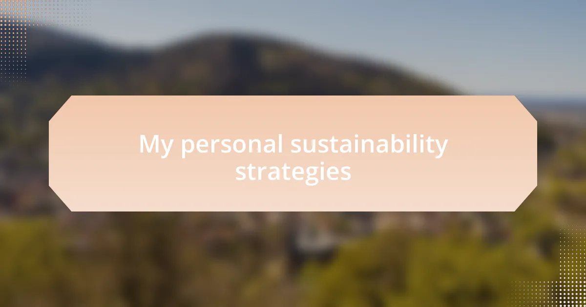 My personal sustainability strategies