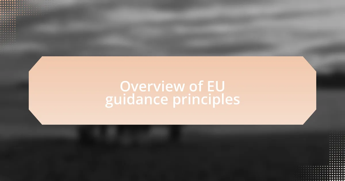 Overview of EU guidance principles