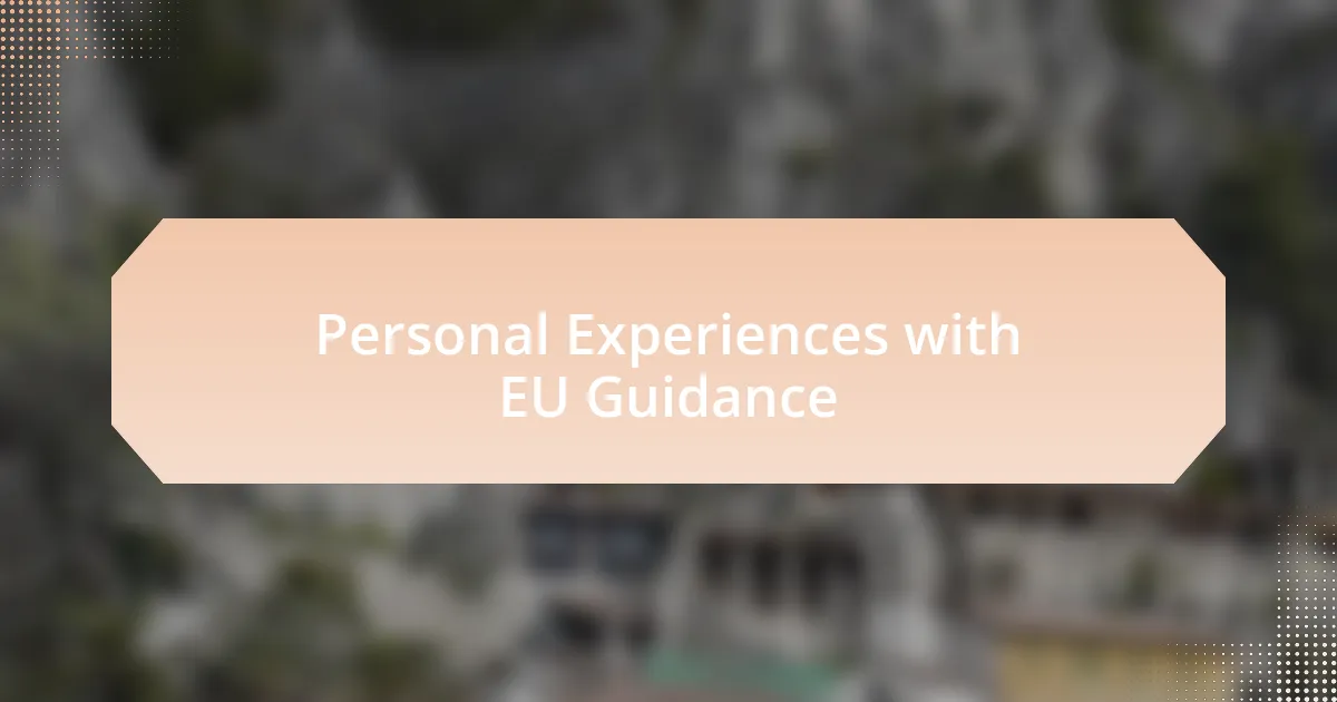 Personal Experiences with EU Guidance