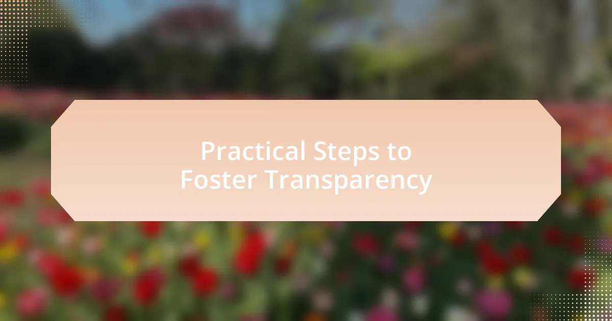 Practical Steps to Foster Transparency